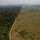 Sigh, the Amazon Rainforest, people.